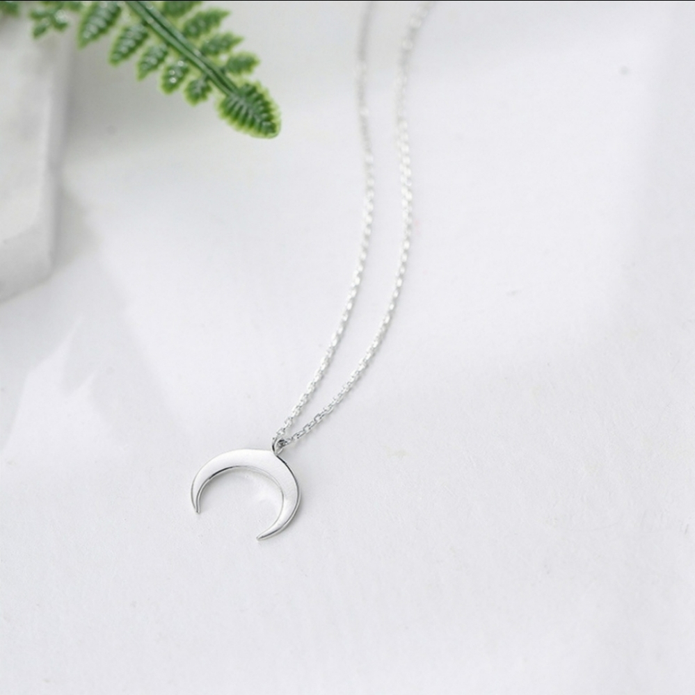 NEW Silver Crest Pendant Necklace - Picture 3 of 7